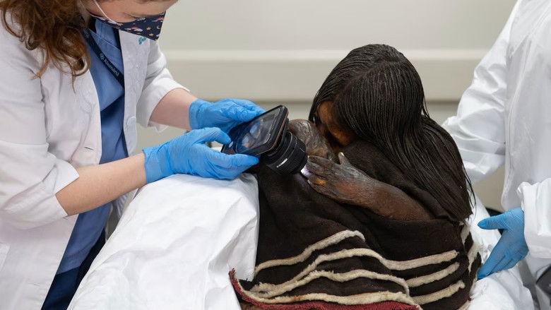 El Guardián de Los Andes still 4