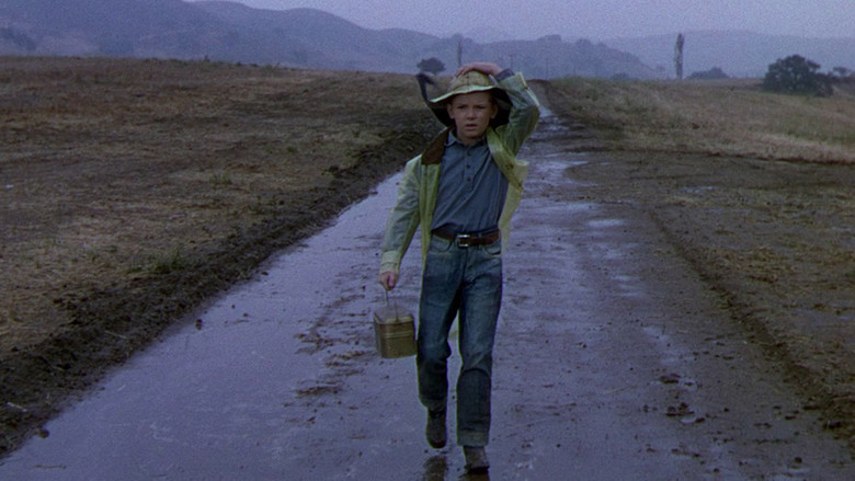 The Red Pony still 4