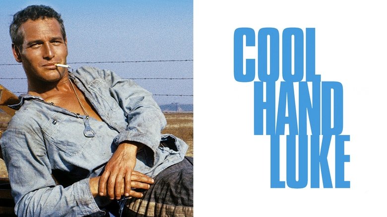 Cool Hand Luke still