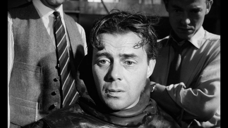 The Mind Benders still