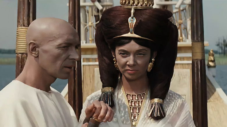 Pharaoh still