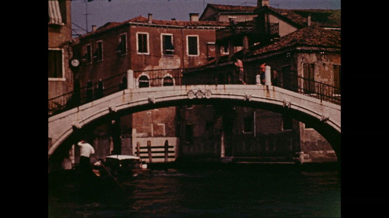 Events in a Cloud Chamber still 2