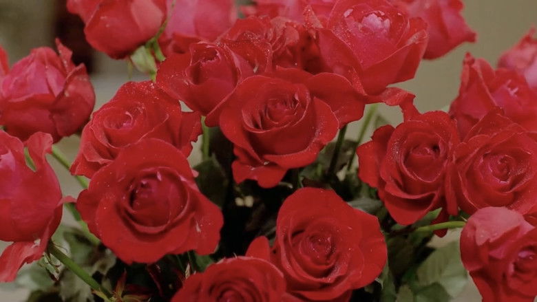 Nun in Rope Hell still