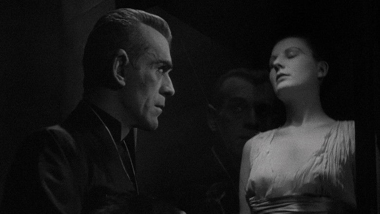 The Black Cat still 4