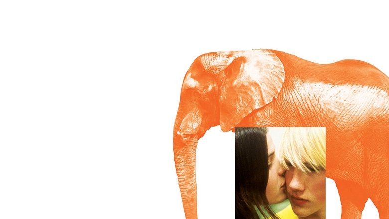 Elephant still 3