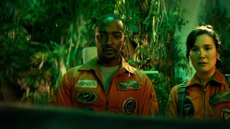 If You Were the Last still