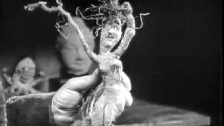 A Daughter Of Destiny still 3