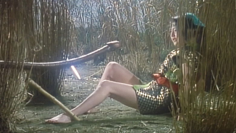 Lady Ninja: Reflections of Darkness still