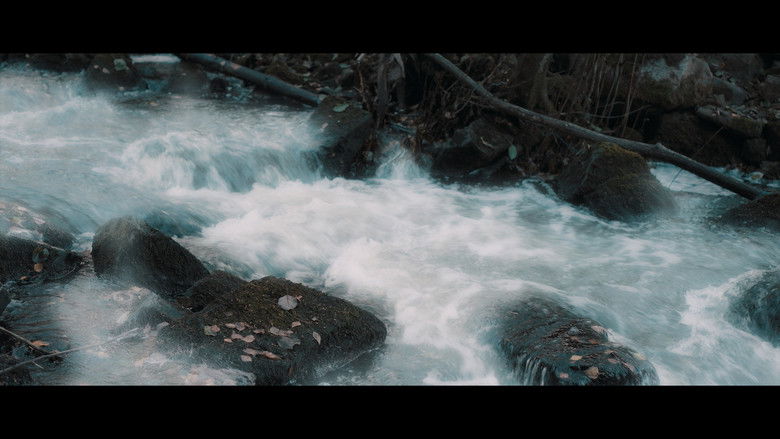 Aerindor: The silent sacrifice still