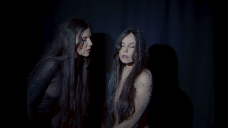 To the day I die (songs of the sea) still