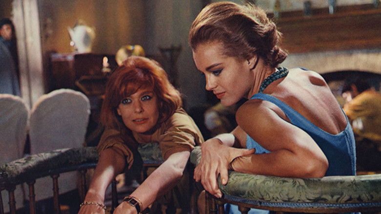 10:30 P.M. Summer still 3