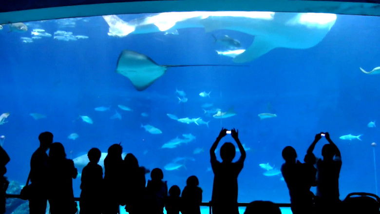 Mit mívelt Isten still 1