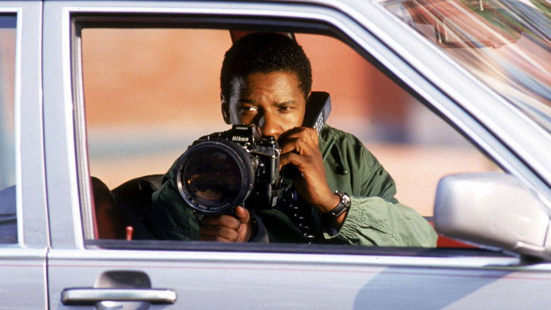 The Pelican Brief still