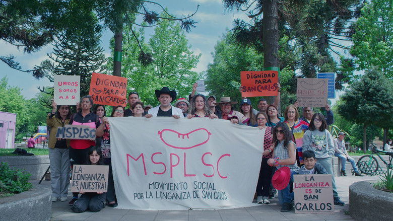 Designation of Origin still