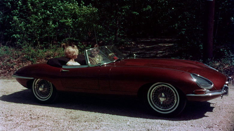 The Prince and the Nature Girl still 4