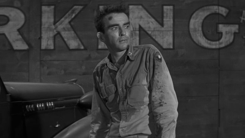 The Young Lions still