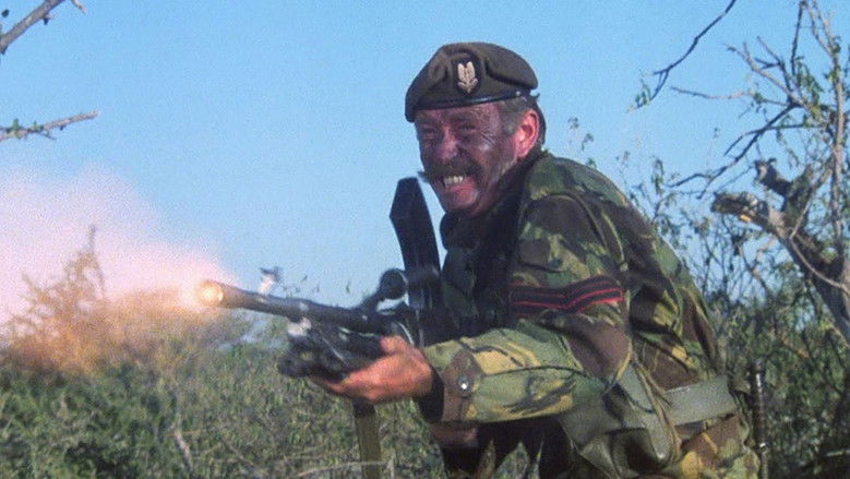 The Wild Geese still