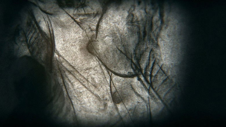 Camera obscura still