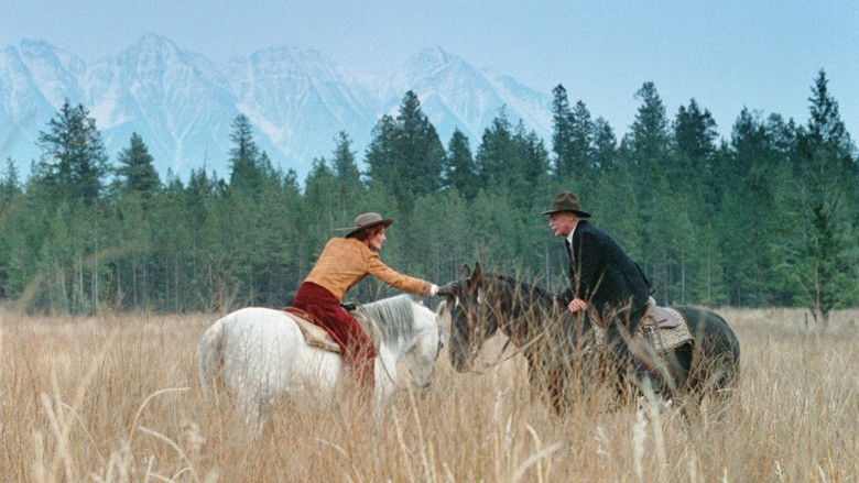 The Grey Fox still 2