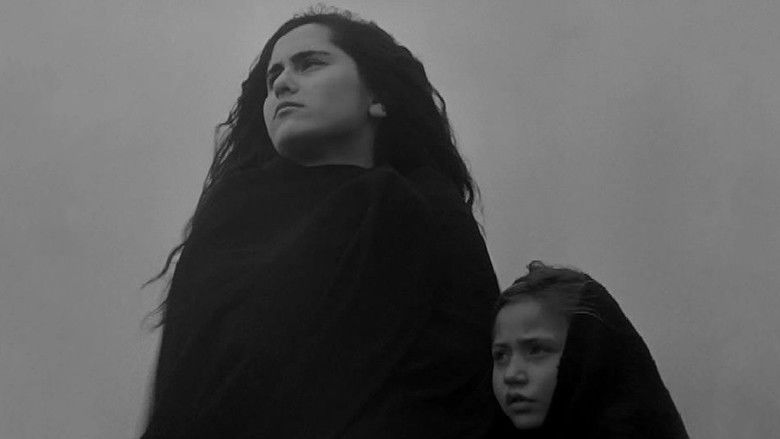 La Terra Trema still