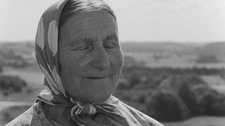 Antigravitation still