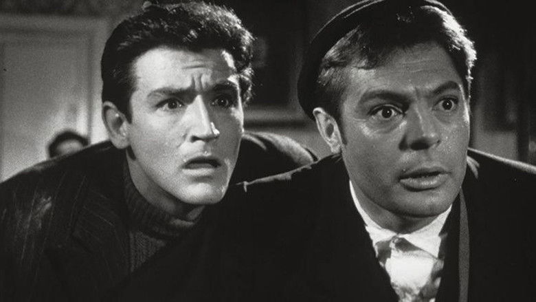 Big Deal on Madonna Street still