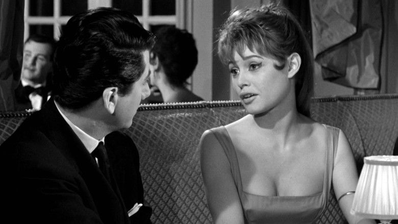 Plucking the Daisy still