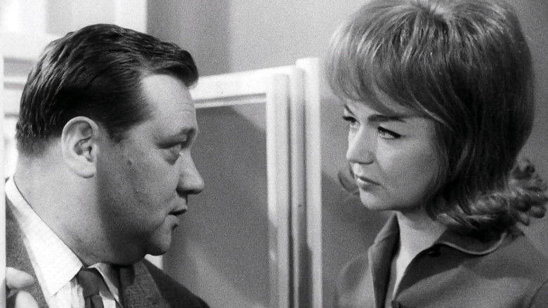 The Hero Is Afraid still