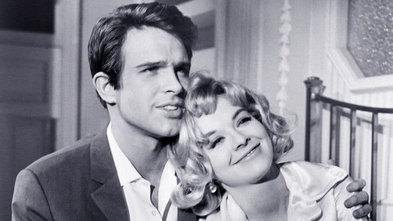 Kaleidoscope still 2