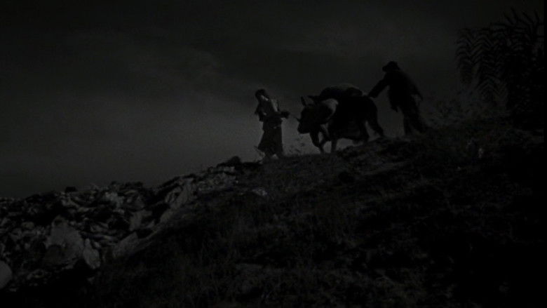 The Young and the Damned still 2