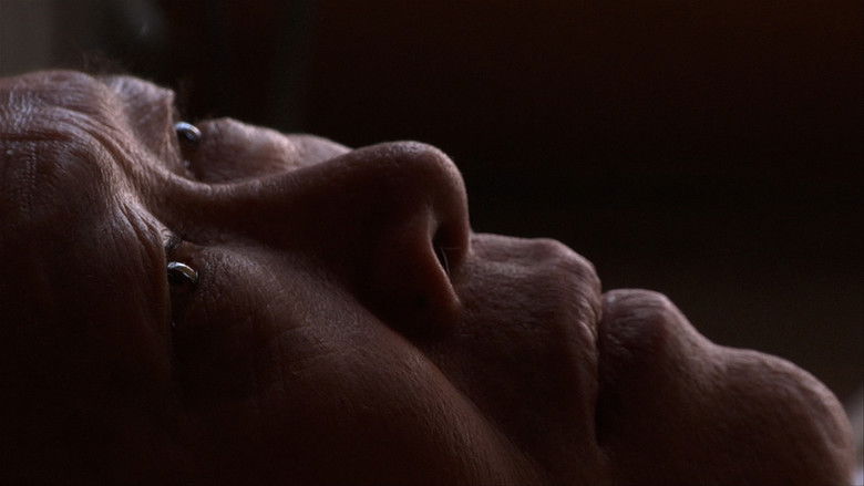 Your Day Is My Night still 2