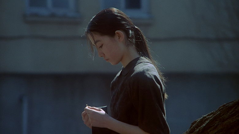 Swallowtail Butterfly still