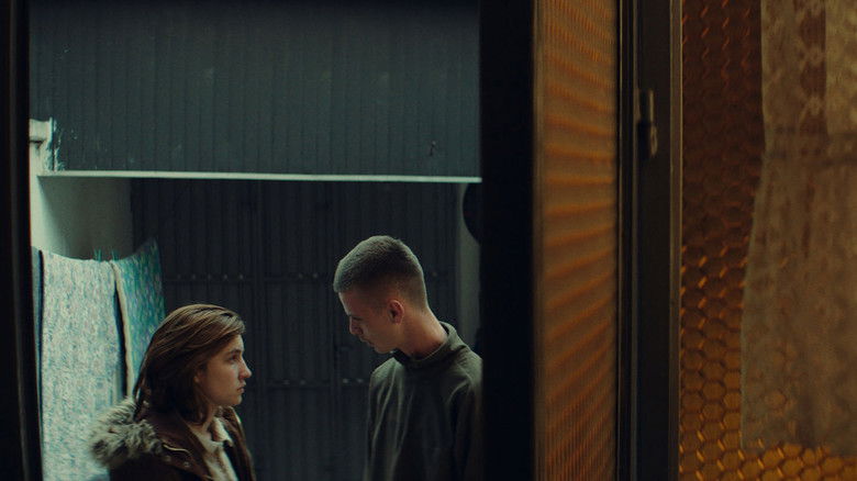 Looking for Venera still