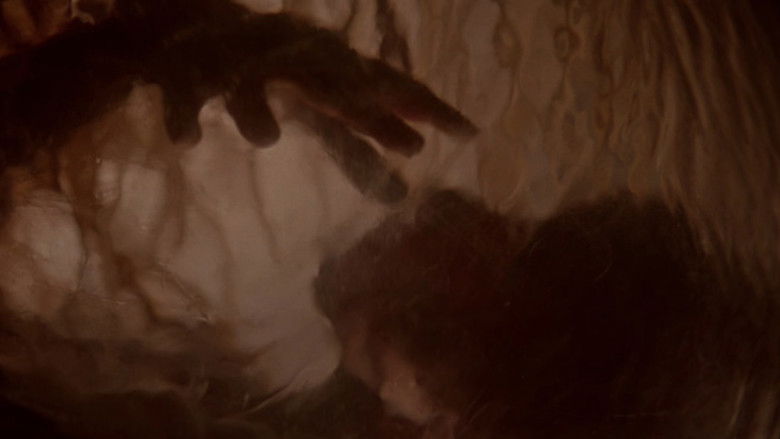 Body Snatchers still