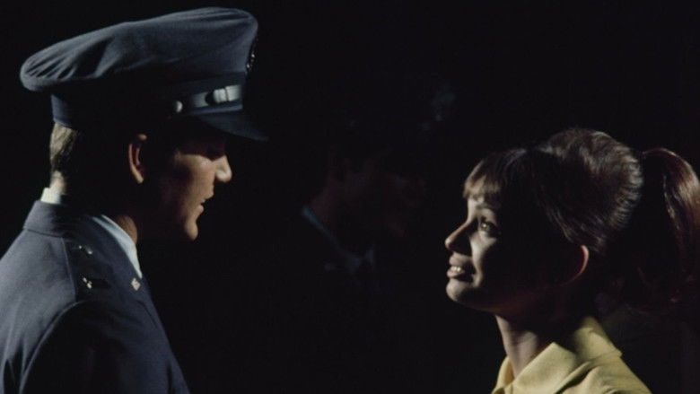 Gidget Grows Up still