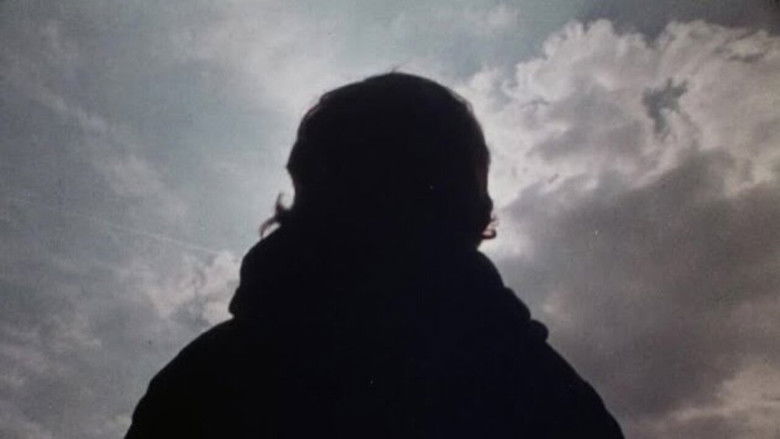 Firework: Eyes still 1