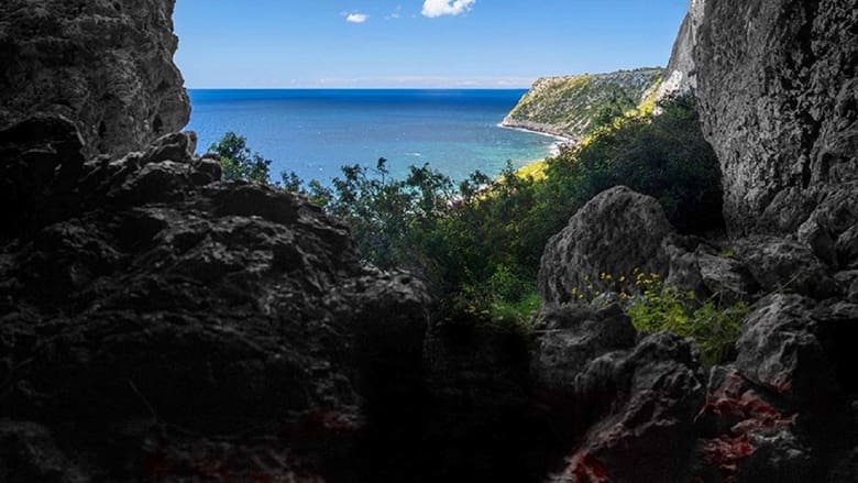 In Darkness We Fall still 1