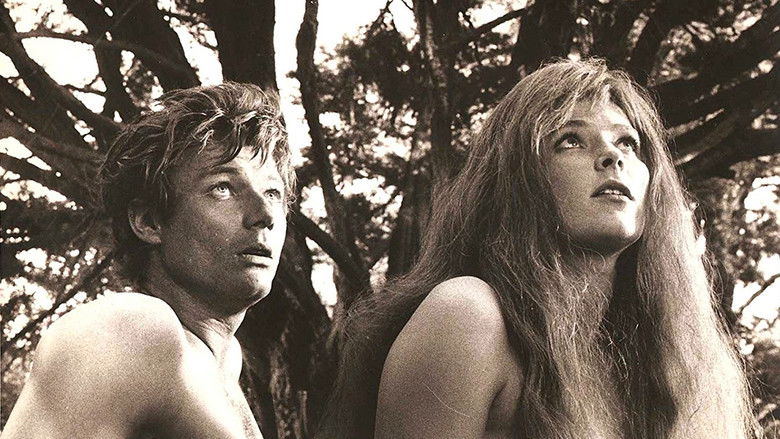 The Bible: In the Beginning... still