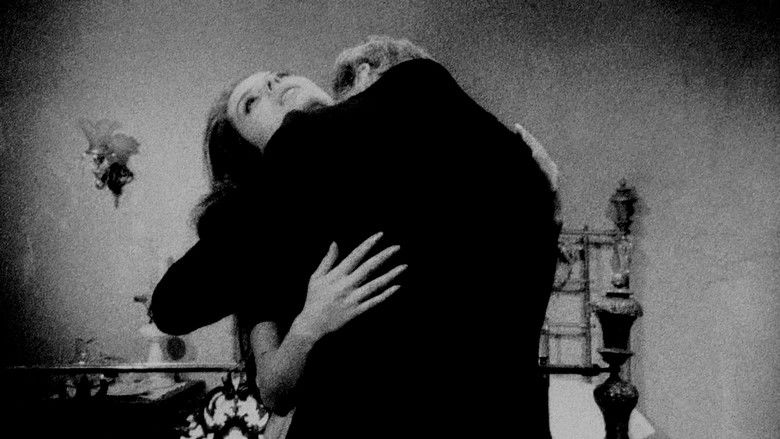 Vampir Cuadecuc still