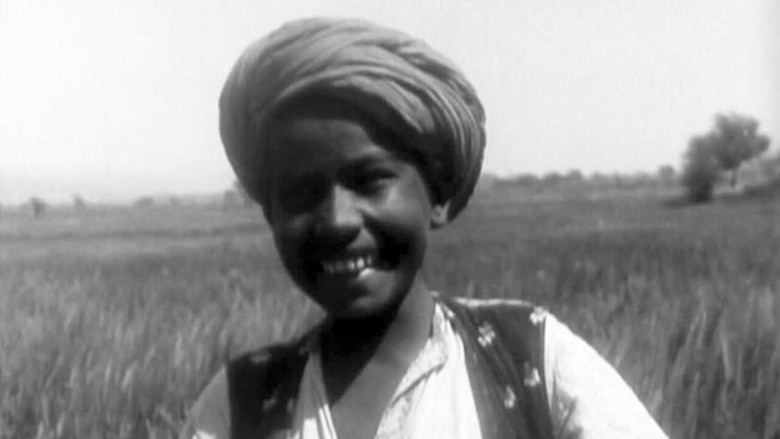 A Punjab Village still 1