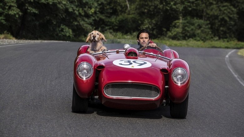 The Art of Racing in the Rain still