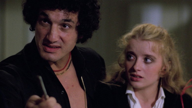 House on the Edge of the Park still