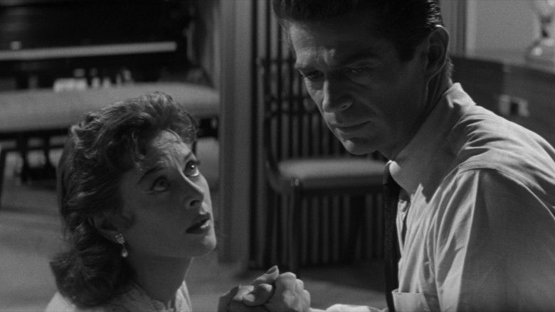 The Female Animal still