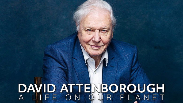 David Attenborough: A Life on Our Planet still 3