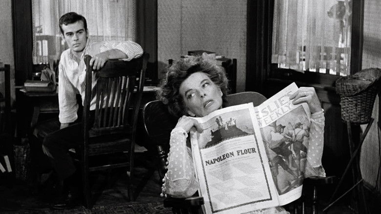 Long Day's Journey Into Night still