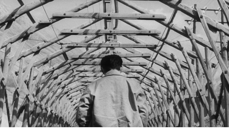 The Human Condition I: No Greater Love still