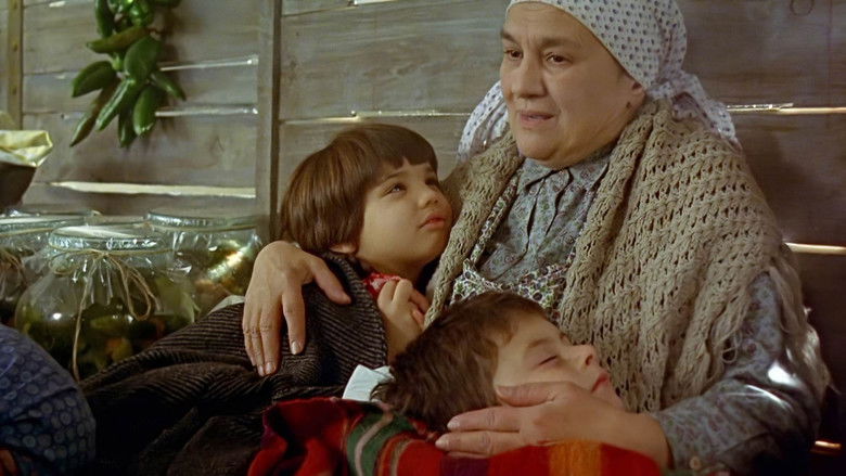 Train of Life still 1