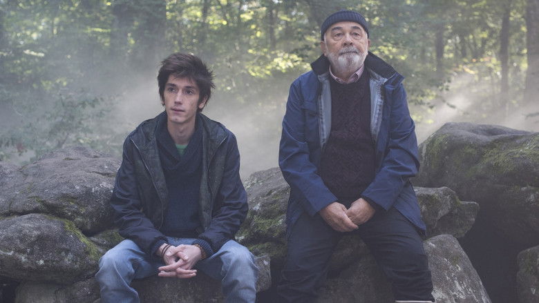 Accidental Family still