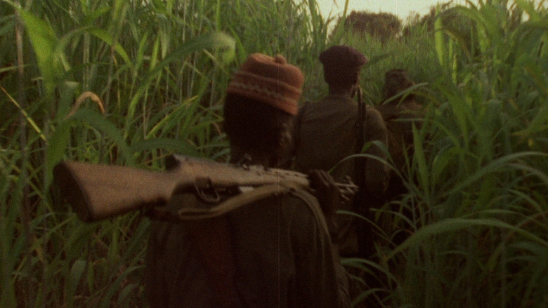 Concerning Violence still 1