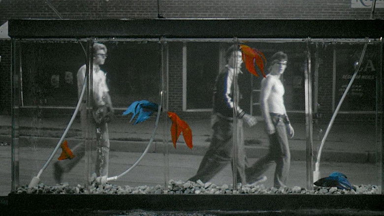 Rumble Fish still